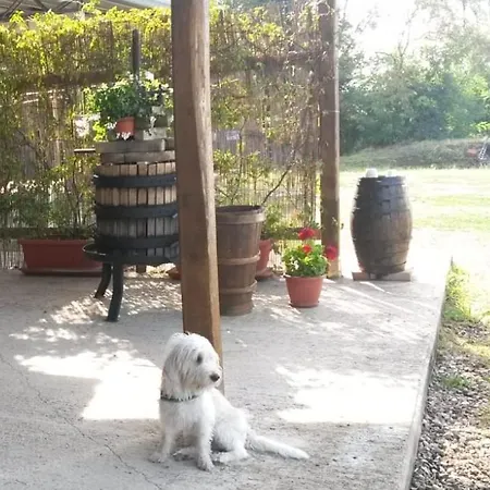 Agriturismo Terre Di Beba