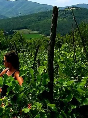 Agriturismo Terre Di Beba شقة *
