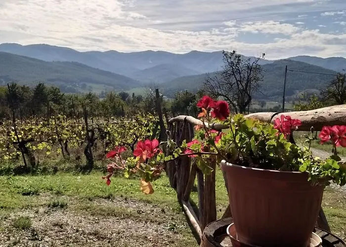 Agriturismo Terre Di Beba شقة *